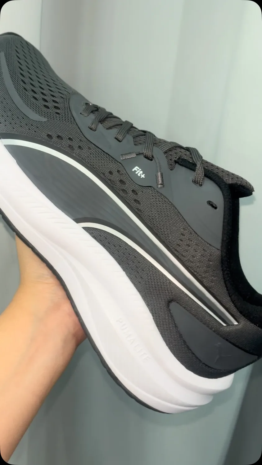 Puma cinza escuro